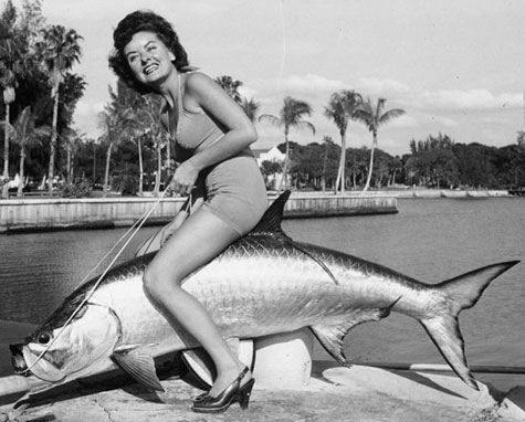 lady-and-the-tarpon
