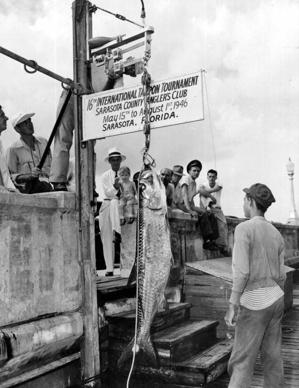 tarpontournament-1946